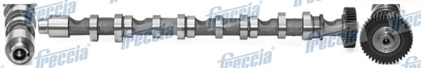 FRECCIA CM052196