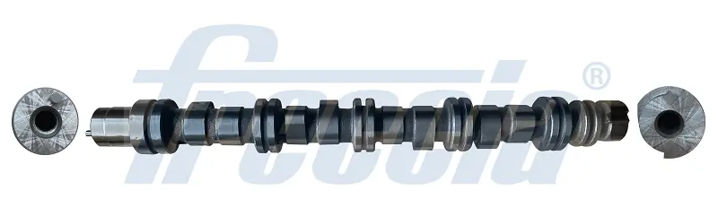 FRECCIA CM052356