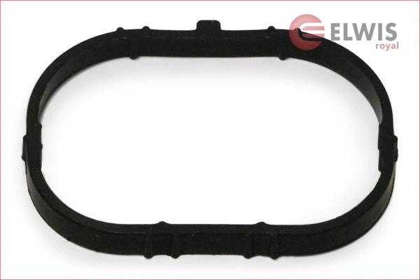 ELWIS ROYAL 0246810