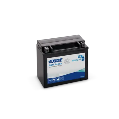 EXIDE AGM1219