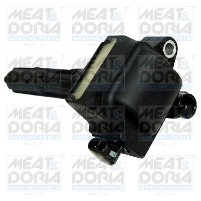 MEAT&DORIA 10731