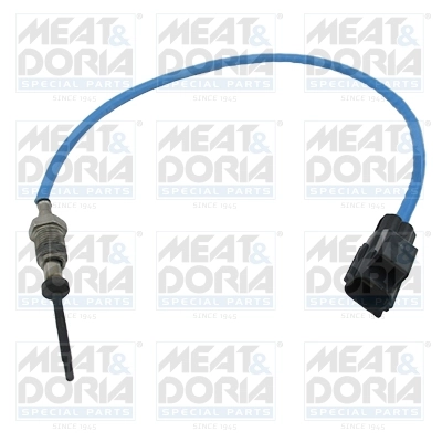 DELPHI TS3039312B1