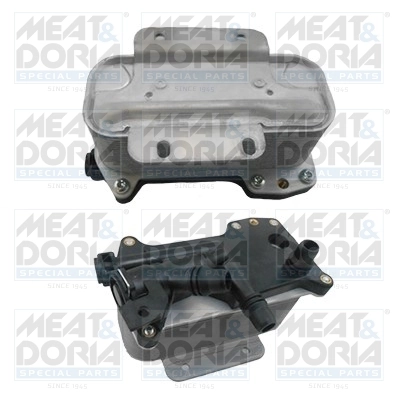 BMW 17217638582