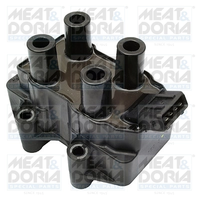 MEAT&DORIA 10384