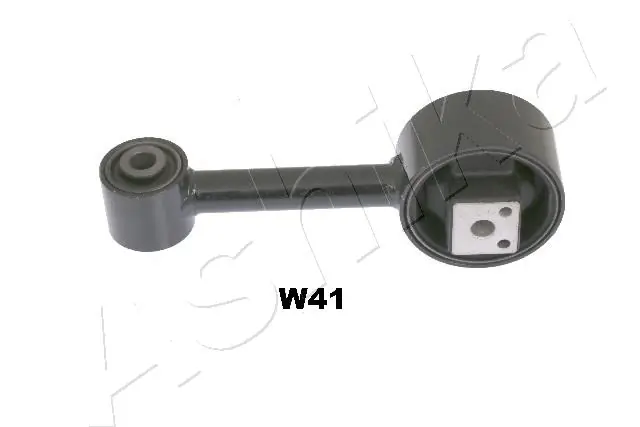 ASHIKA GOMW41