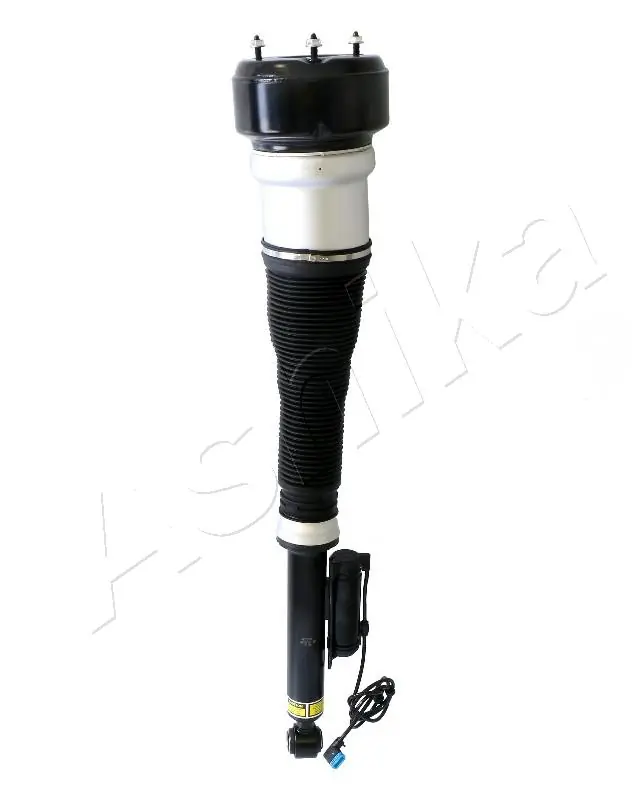 ASHIKA MAAS065