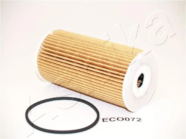 ASHIKA 10ECO072
