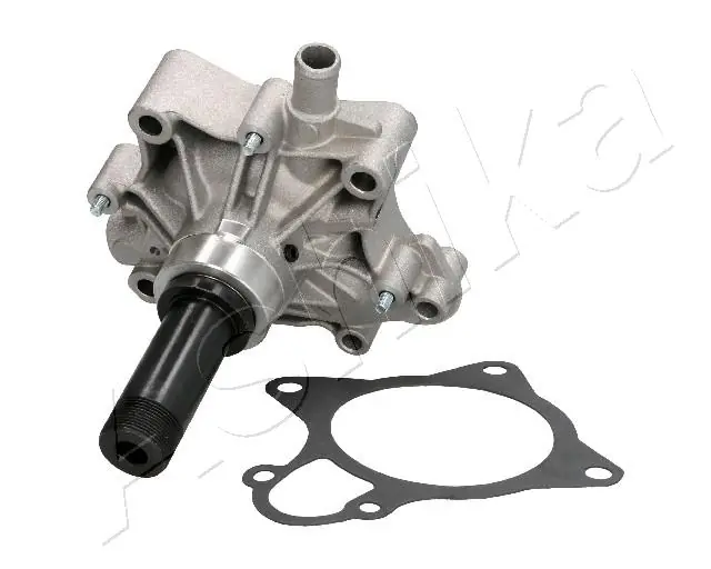 hepu P1206