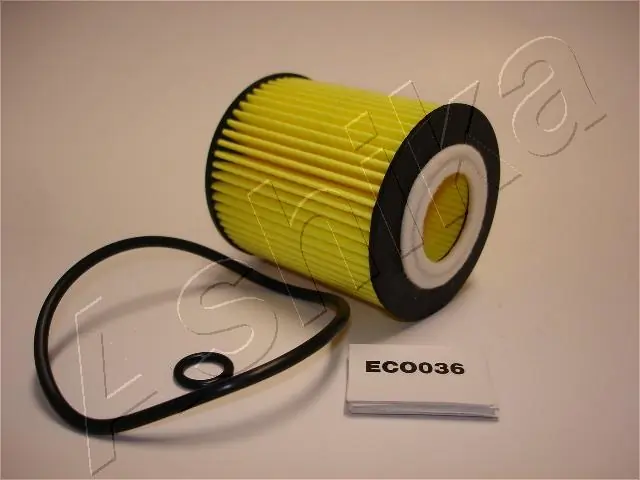 ASHIKA 10ECO036