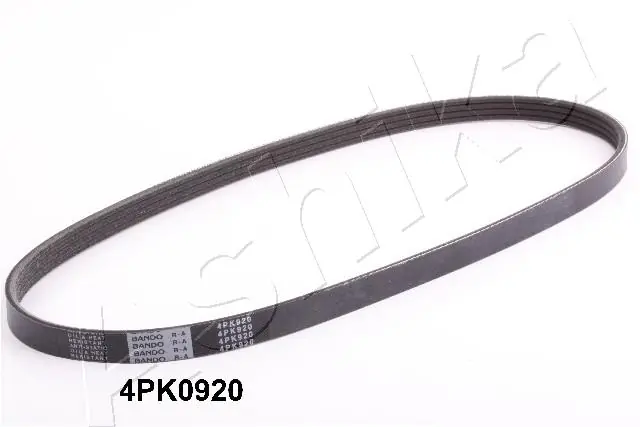 ASHIKA 1124PK920