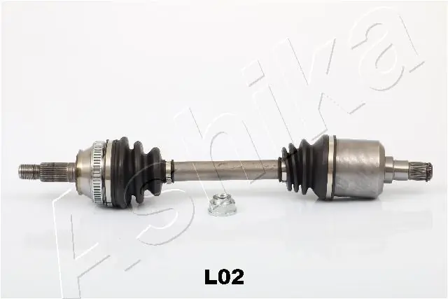 ASHIKA 620LL02