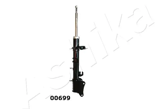 ASHIKA MA00699