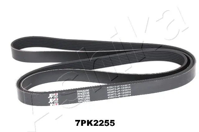 ASHIKA 1127PK2255