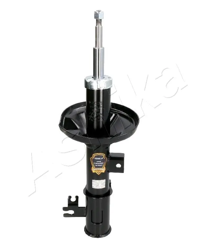 RAISO RS962843
