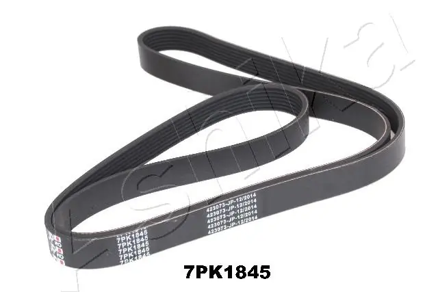 ASHIKA 1127PK1845