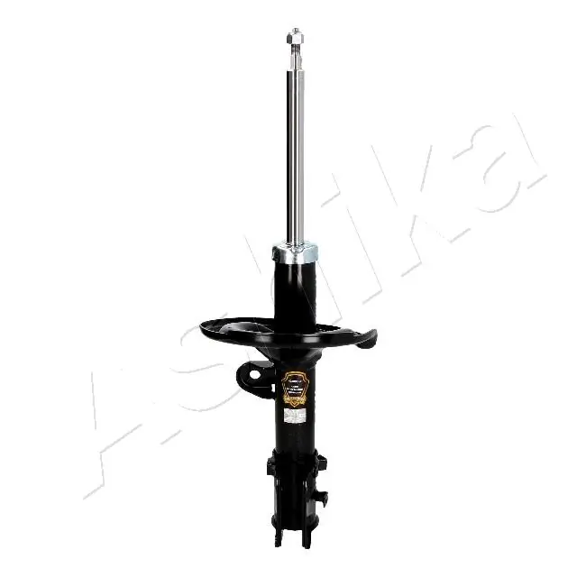 RAISO RS313521