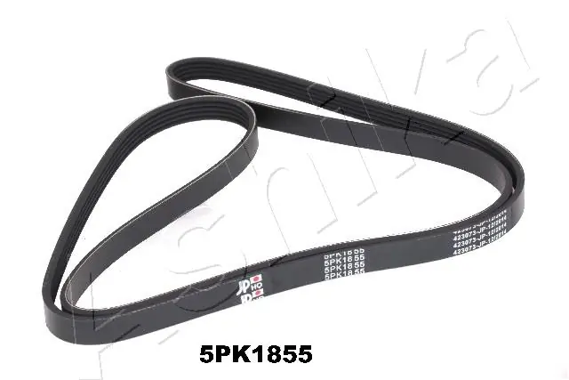 ASHIKA 1125PK1855