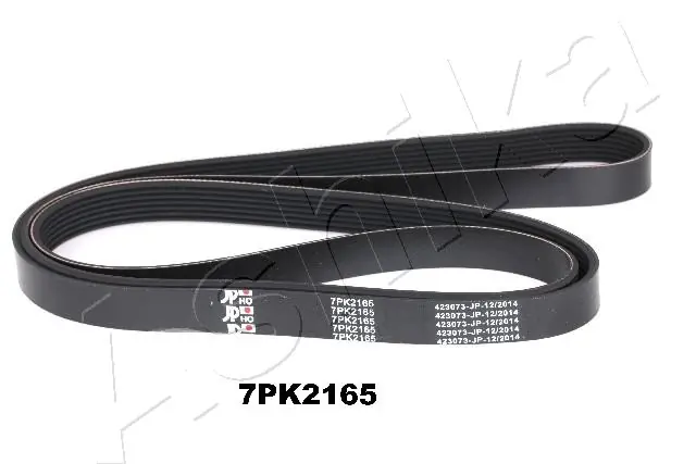 ASHIKA 1127PK2165