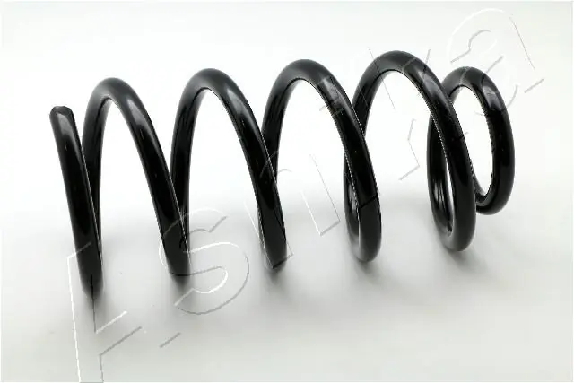 RAISO SR101TP