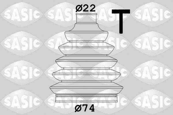 SASIC 1900011