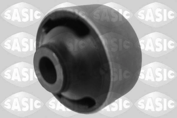 SASIC 2250021