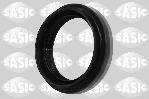SASIC 1954018