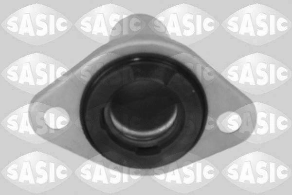SASIC 5950015