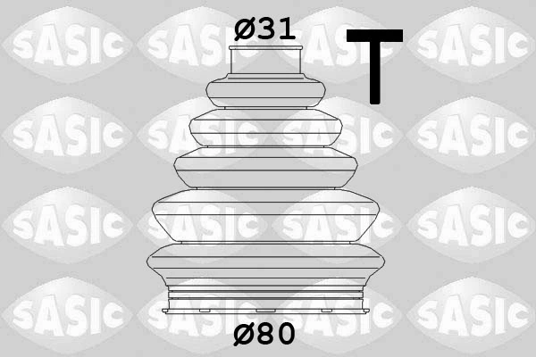 SASIC 1906058