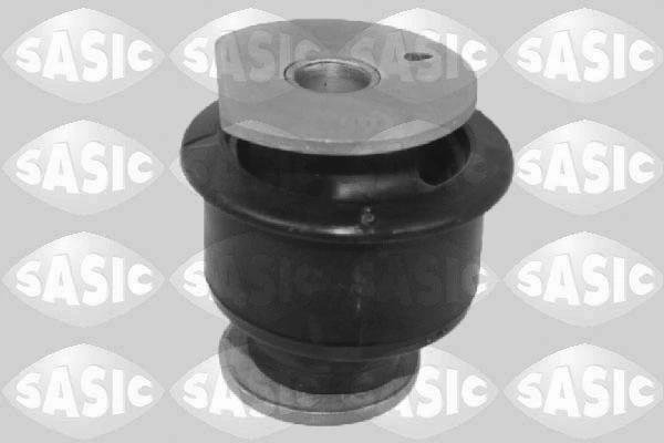 SASIC 2250031