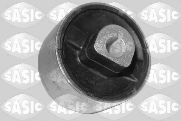 SASIC 2254022