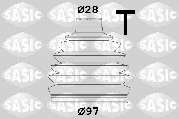 SASIC 1906061