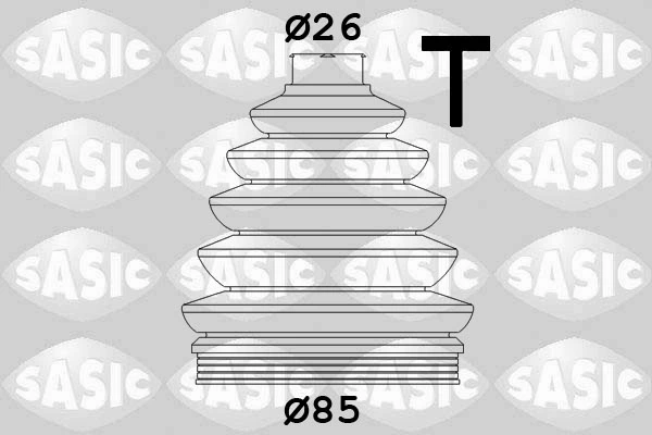 SASIC 1906038