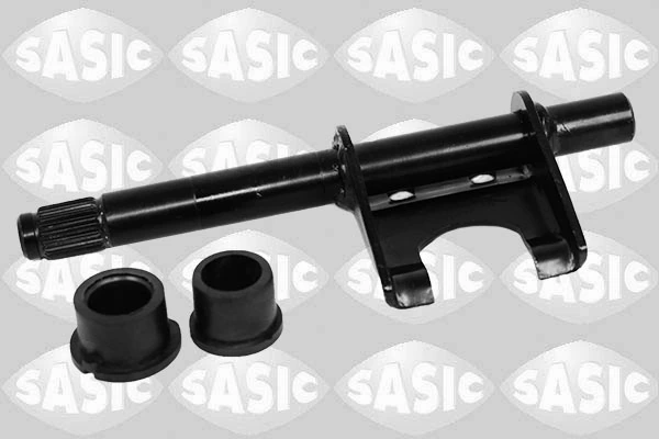 SASIC 5406005