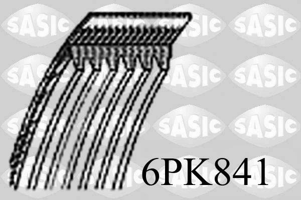 SASIC 6PK841