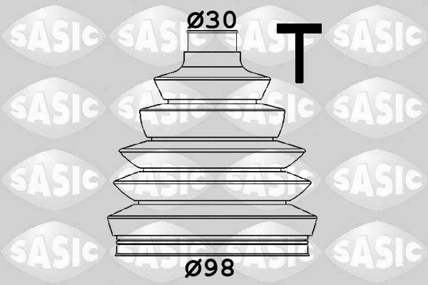 SASIC 1906145