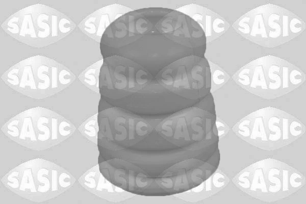 SASIC 2650055