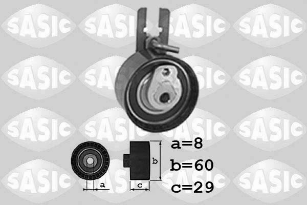 SASIC 1700013