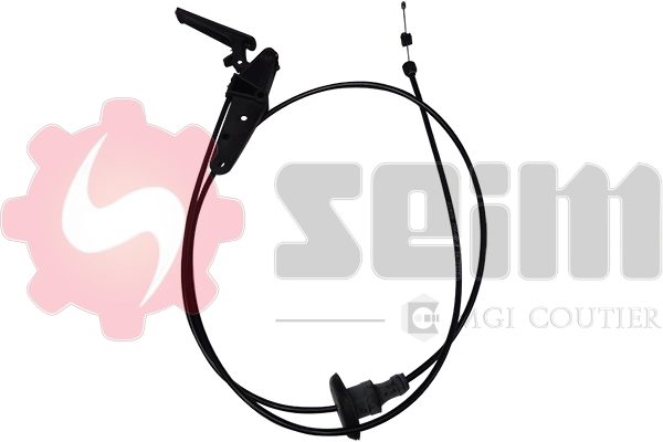 seim 554652