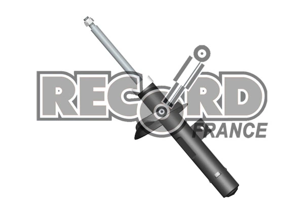 RECORD FRANCE 214371