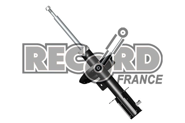RECORD FRANCE 214793