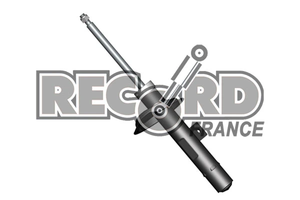 RECORD FRANCE 104432