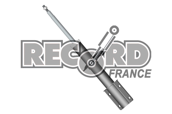 RECORD FRANCE 104152