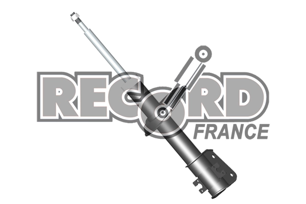 RECORD FRANCE 104178