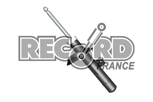 RECORD FRANCE 214179