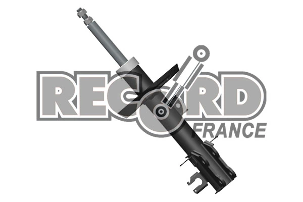 RECORD FRANCE 214592