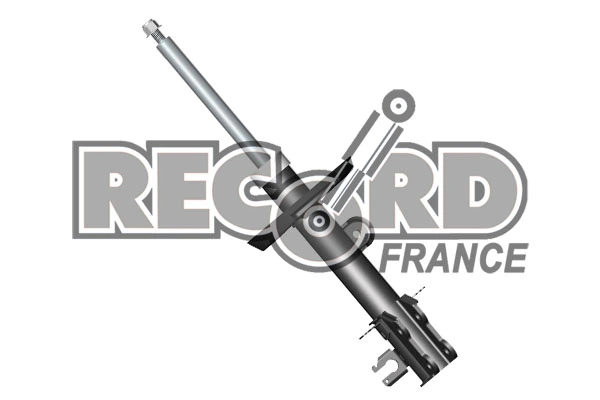 RECORD FRANCE 214790