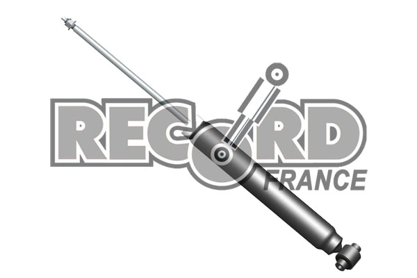 RECORD FRANCE 104707