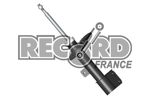 RECORD FRANCE 214705