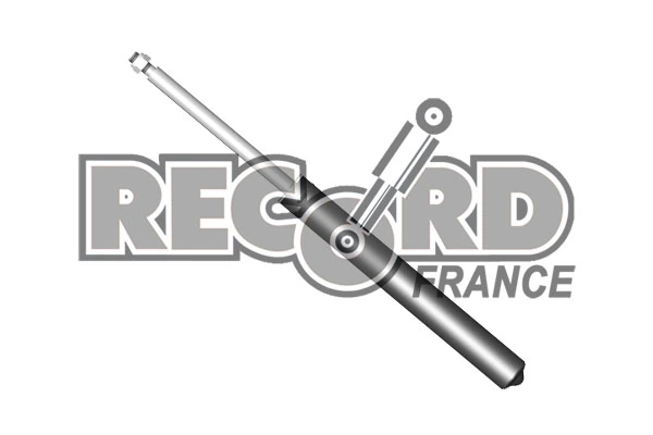RECORD FRANCE 103496