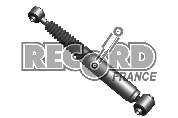 RECORD FRANCE 003839